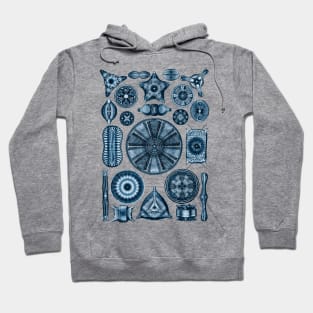 Ernst Haeckel Diatoms Navy Blue Hoodie